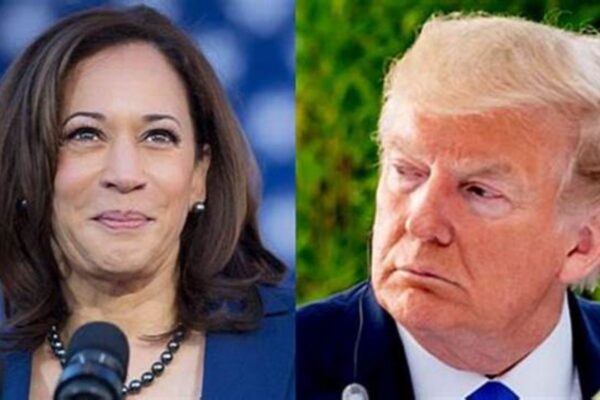 Donald Trump Kamala Harris