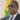 Sénégal président Macky Sall gouvernement Faye