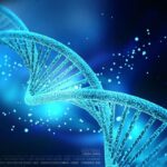 Test ADN islam thérapeute conjugale