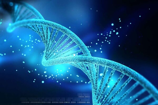 Test ADN islam thérapeute conjugale