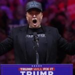 Donald Trump élection présidentielle américaine Elon Musk