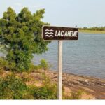 Bénin crocodile lac Ahémé Dado
