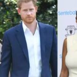 prince Harry Meghan Markle Sophie Chandauka