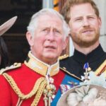 Famille royale Charles III Harry