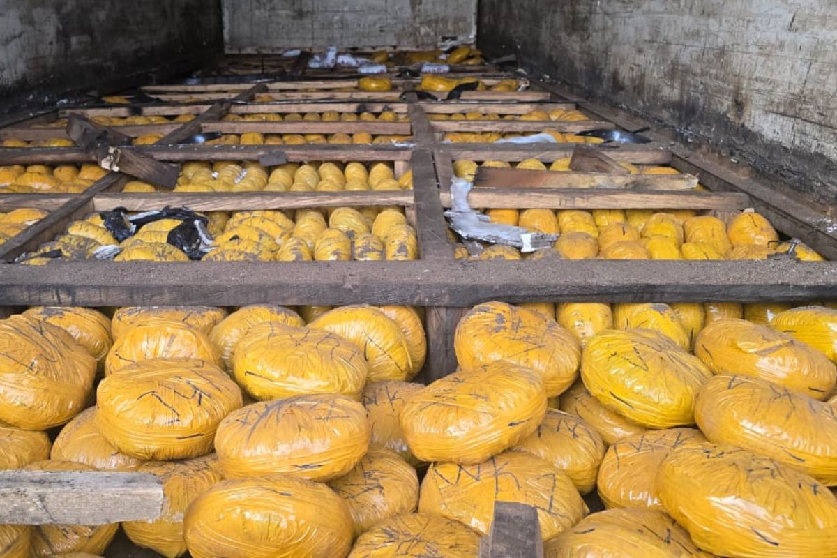Trafic de drogue : 2,45 tonnes de stupéfiants interceptées à Bétérou