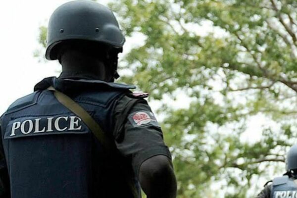 Nigeria : les États se dotent de leur propre police pour lutter contre le banditisme