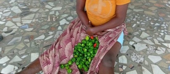 Sèmè-Podji : une jeune femme interpellée pour un vol présumé de piment
